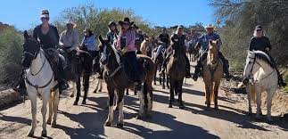 Image result for Huntingdon and District Riding Club