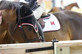 Image result for Oxford University Riding Club