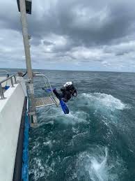 Image result for Calshot Sub-Aqua Club