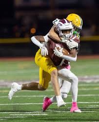 Image result for Herdings Park Football Club