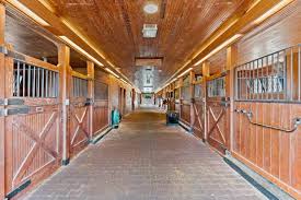 Image result for Runnymede Ramblers