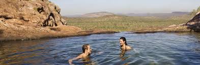 Billedresultat for kakadu n...