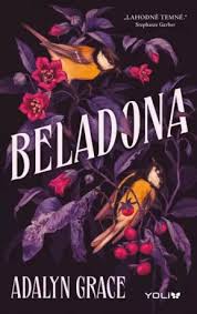 Image result for beladona