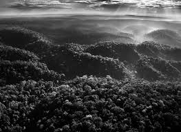 Image result for sebastiao salgado