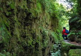 Výsledek obrázku pro yungas