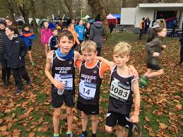 Image result for Deeside Aac