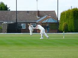 Image result for Halstead Cricket Club