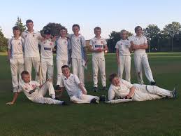 Image result for Taunton Deane Cricket Club