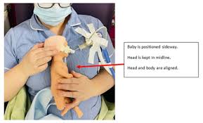 Image result for body midline