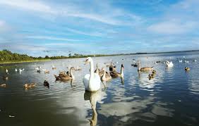 Image result for Rother Valley