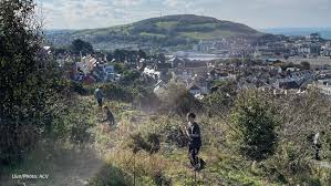 Image result for Aberystwyth University Octopush club