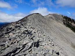 Image result for mountain top seashell