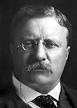 Theodore Roosevelt - Biography