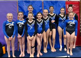 Image result for Sheredes Gymnastics Club
