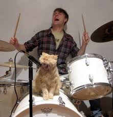 Image result for lulcatz