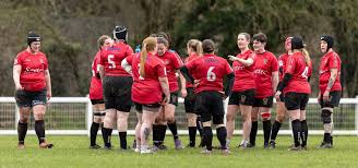 Image result for Rochford Hundred Rugby Club