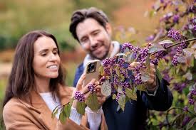 Image result for Adlumia cirrhosa