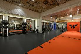 Image result for Monarchs Sports Acrobatics Club