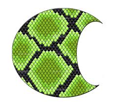 Image result for Cobra Capoeira Kids Club