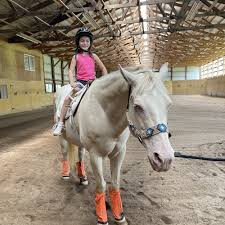 Image result for Carman Stables Archery