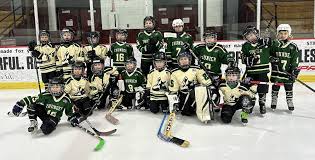 Image result for Havering Skater Hockey Club