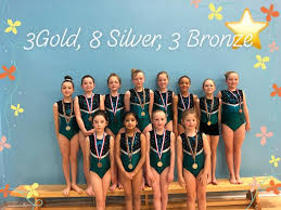 Image result for Wigan Seagulls