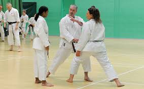 Image result for Harpenden JKA Karate Club