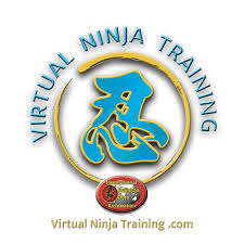 Image result for M-S-N Ninjutsu (Bujinkan) Club