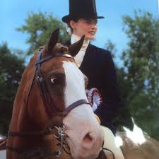 Image result for North Lammermuir Riding Club