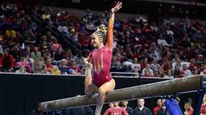 Image result for Tessaro Gymnastics Club