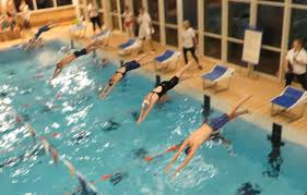 Image result for Stortford Divers