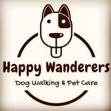 Image result for Addlestone Wanderers