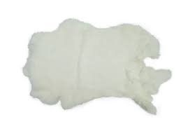 Image result for white rabbit skin texture