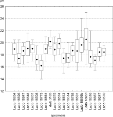 Attēlu rezultāti vaicājumam “Perichaena corticalis spores”