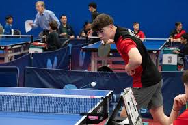Image result for Scorpions Table Tennis Club