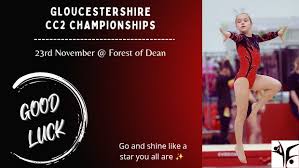 Image result for Fromeside Gymnastics Club (1987) Limited