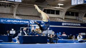 Image result for Abbey Fit Gymnastics