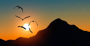 Image result for foto presença de deus