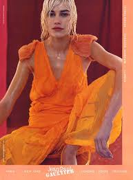 Image result for delfine bafort