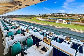 Image result for Marlborough and District Tri-Club