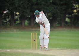 Image result for Louth Cricket Club