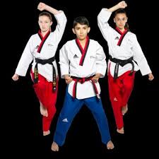 Image result for New Milton Taekwondo Club