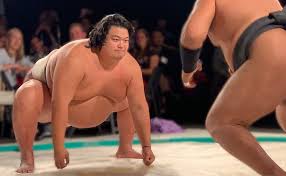 Image result for fat