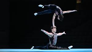 Image result for Sports Acro