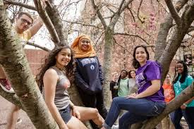 Image result for Intensive Training Group Northampton