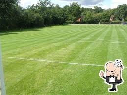 Image result for Chiddingfold Football Club