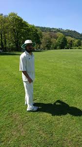 Image result for Bay Dragons CC