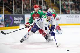 Image result for Cardiff Devils