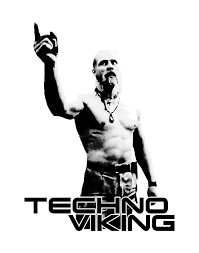 Resultado de imagen para techno viking