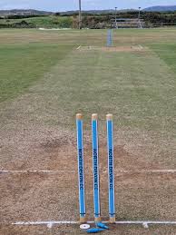 Image result for Whitchurch Wayfarers Cricket Club